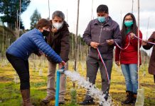 RIEGO EFICIENTE E INNOVACIÓN DE CULTIVOS PROTAGONIZAN AGRICULTORES DE LOS RÍOS