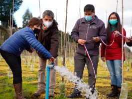 RIEGO EFICIENTE E INNOVACIÓN DE CULTIVOS PROTAGONIZAN AGRICULTORES DE LOS RÍOS