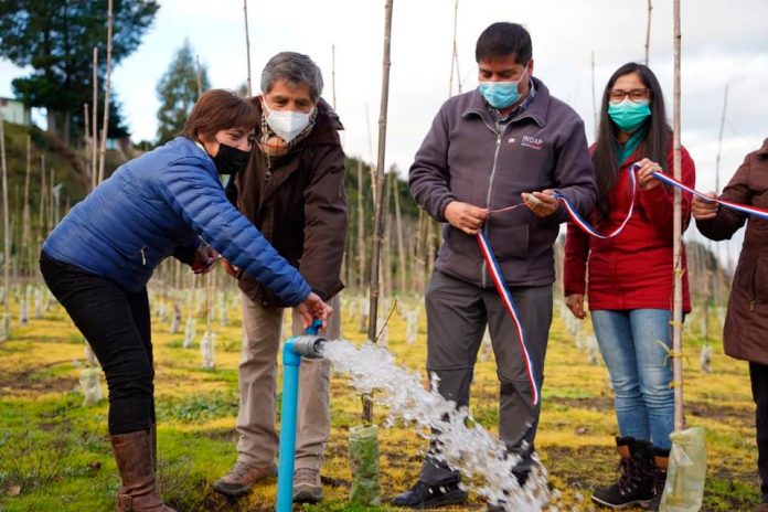 RIEGO EFICIENTE E INNOVACIÓN DE CULTIVOS PROTAGONIZAN AGRICULTORES DE LOS RÍOS