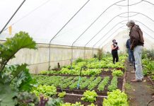 CAMBIO CLIMÁTICO EN AYSÉN: RIESGOS Y OPORTUNIDADES ANALIZARON EN TALLER CON PEQUEÑOS AGRICULTORES