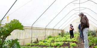 CAMBIO CLIMÁTICO EN AYSÉN: RIESGOS Y OPORTUNIDADES ANALIZARON EN TALLER CON PEQUEÑOS AGRICULTORES