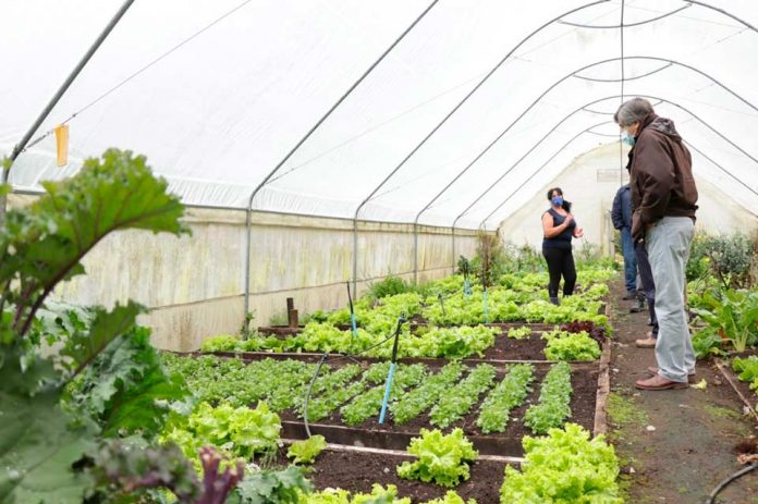 CAMBIO CLIMÁTICO EN AYSÉN: RIESGOS Y OPORTUNIDADES ANALIZARON EN TALLER CON PEQUEÑOS AGRICULTORES
