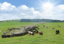 Tecnología revolucionaria marca la nueva generación de la agricultura de riego