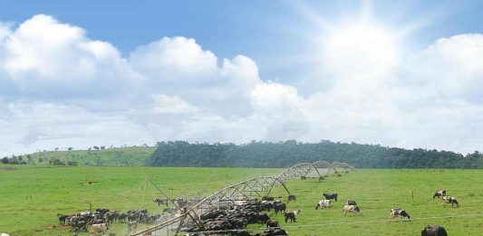 Tecnología revolucionaria marca la nueva generación de la agricultura de riego