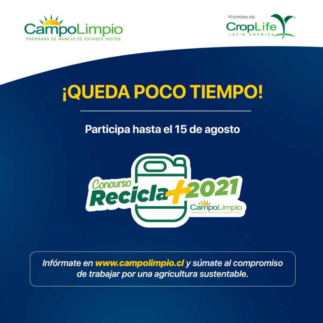Concurso “Recicla Más Campo Limpio 2021” premiará a agricultores y empresas agrícolas desde Arica a Coyhaique, que promueven el cuidado del medioambiente y la salud de las personas