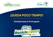 Concurso “Recicla Más Campo Limpio 2021” premiará a agricultores y empresas agrícolas desde Arica a Coyhaique, que promueven el cuidado del medioambiente y la salud de las personas