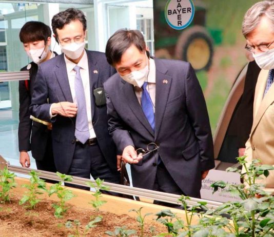 Corea y el IICA buscan alianzas para impulsar agricultura baja en carbono y mejorar calidad de vida en zonas rurales  