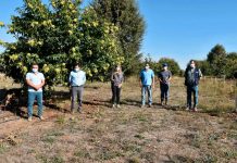 Empresa Campesina de INDAP moderniza sus instalaciones con miras a la exportación de castañas