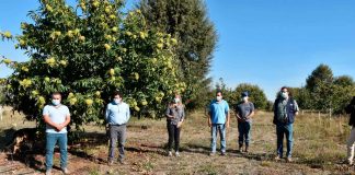 Empresa Campesina de INDAP moderniza sus instalaciones con miras a la exportación de castañas