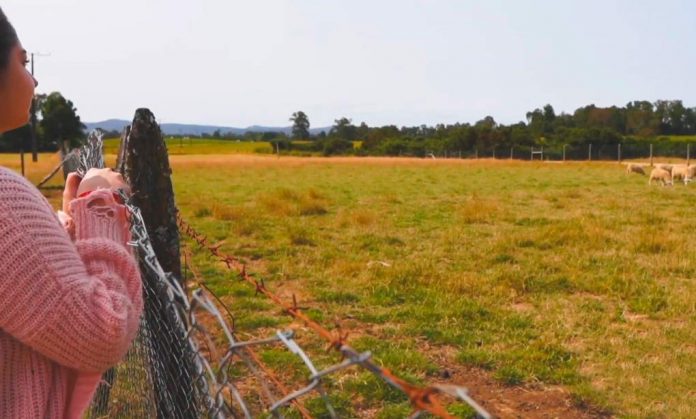 FIA y Gore abren convocatoria de $50 millones para proyectos de innovación liderados por jóvenes rurales en O’Higgins