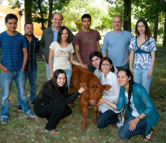 Facultad de Ciencias Veterinarias de la UdeC continúa realizando investigación genética de vanguardia