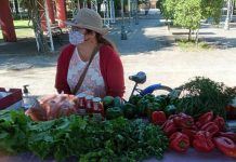 INDAP Ñuble financia segunda etapa de Mercado Campesino de San Ignacio para potenciar comercialización de pequeños productores  