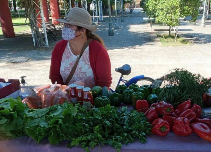 INDAP Ñuble financia segunda etapa de Mercado Campesino de San Ignacio para potenciar comercialización de pequeños productores  