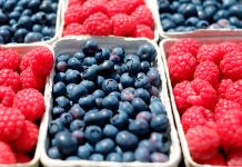 Llaman a adoptar medidas preventivas para evitar peligrosa enfermedad en huertos de berries