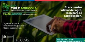 Más de 150 actividades de capacitación e información tendrá Expo Chile Agrícola 2021 