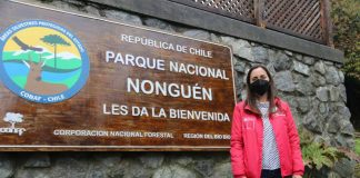 Ministra Undurraga encabeza ceremonia de recategorización de la Reserva Nacional Nonguén a Parque Nacional Nonguén