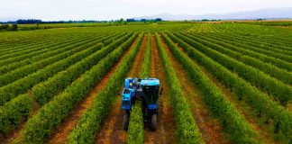 Modelo SES: Sistemas Eficientes y Sostenibles en Alta Densidad marcan tendencia en la industria agrícola 