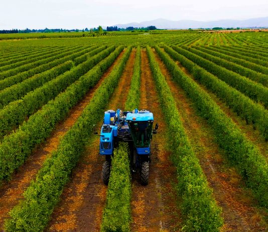 Modelo SES: Sistemas Eficientes y Sostenibles en Alta Densidad marcan tendencia en la industria agrícola 