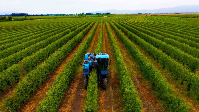 Modelo SES: Sistemas Eficientes y Sostenibles en Alta Densidad marcan tendencia en la industria agrícola 