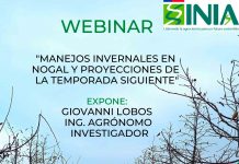 Nuevo Webinar: "Manejos invernales en nogal y proyecciones de la temporada siguiente"