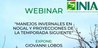 Nuevo Webinar: "Manejos invernales en nogal y proyecciones de la temporada siguiente"