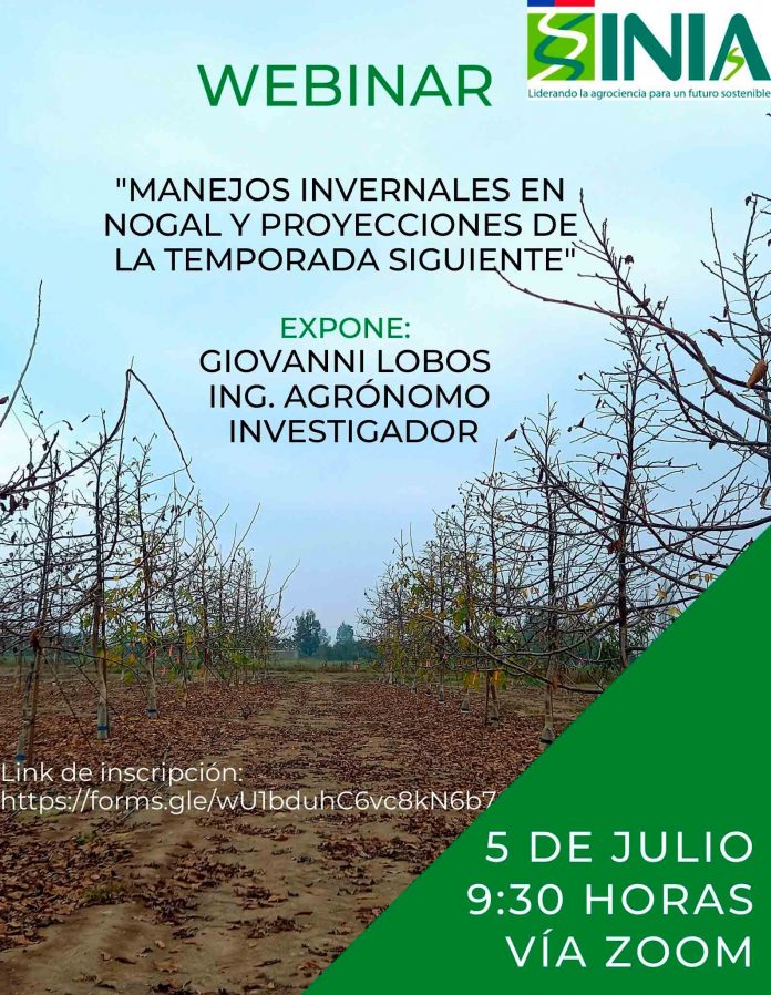 Nuevo Webinar: 