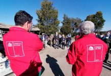 Por primera vez viñateros del Biobío contarán con seguro agrícola que considera subsidio estatal  