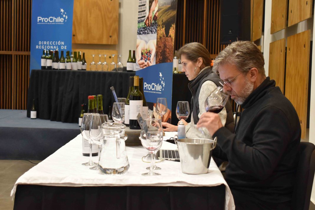 ProChile realiza cata de 104 botellas de vinos de Ñuble por 4 jurados para selección internacional