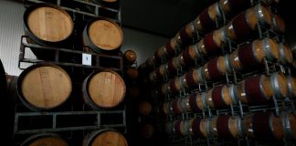 Producción de vinos 2021 subió 29,9%