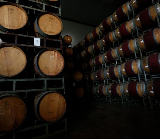 Producción de vinos 2021 subió 29,9%
