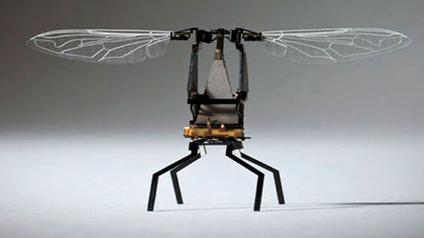 Prototipo de dron abeja