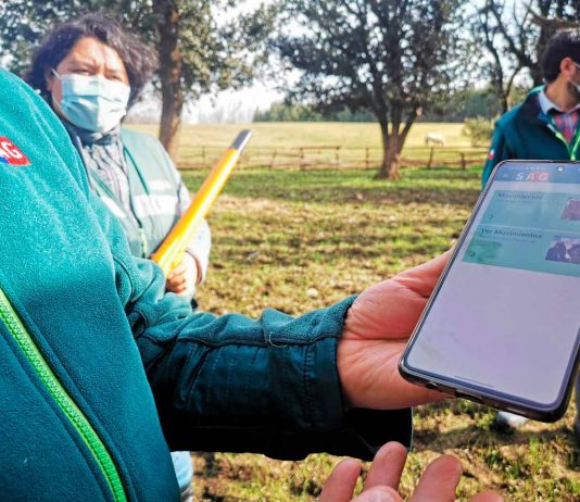 SAG Biobío presentó aplicación SIPEC móvil para gestionar la trazabilidad desde el celular