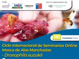 SAG invita a participar de seminario internacional sobre Drosophila suzukii