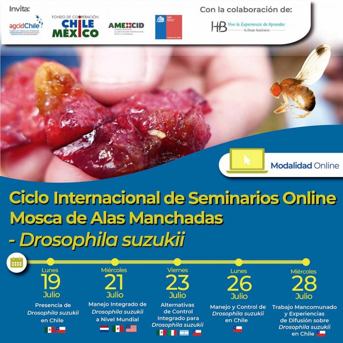 SAG invita a participar de seminario internacional sobre Drosophila suzukii
