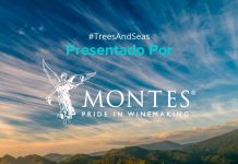 VIÑA MONTES SE UNE A INICIATIVA PLANETARIA DE PLASTIC OCEANS Y ÜÑÜ PARA DESCONTAMINAR NUESTROS MARES Y BOSQUES