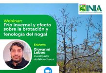 Webinar: frío invernal, efecto sobre la brotación y fenología del nogal