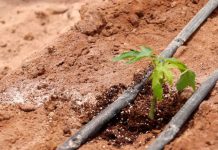 AGRICULTORES ANALIZAN RETOS Y OPORTUNIDADES QUE OFRECE EL CAMBIO CLIMÁTICO