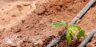 AGRICULTORES ANALIZAN RETOS Y OPORTUNIDADES QUE OFRECE EL CAMBIO CLIMÁTICO