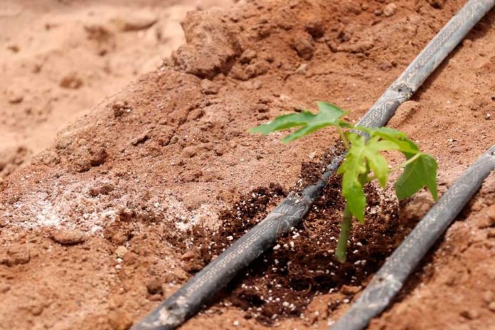 AGRICULTORES ANALIZAN RETOS Y OPORTUNIDADES QUE OFRECE EL CAMBIO CLIMÁTICO