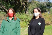 Ministras de Agricultura y Medioambiente anuncian apertura de Áreas Silvestres protegidas en nuevo plan Paso a Paso Desde este jueves se pueden visitar los parques, reservas y monumentos de Conaf con el pase de movilidad independiente de la fase. El llamado es a aprovechar estos lugares en familia y a mantener las medidas de autocuidado. 