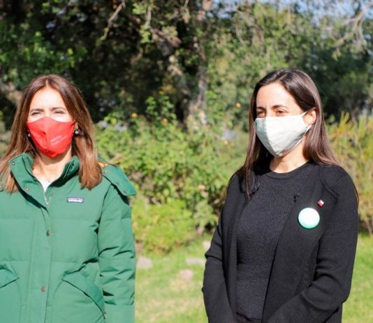 Ministras de Agricultura y Medioambiente anuncian apertura de Áreas Silvestres protegidas en nuevo plan Paso a Paso Desde este jueves se pueden visitar los parques, reservas y monumentos de Conaf con el pase de movilidad independiente de la fase. El llamado es a aprovechar estos lugares en familia y a mantener las medidas de autocuidado. 