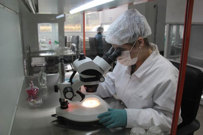 ¿Cómo influye la compensación vegetal nativa tras el cambio climático? Biotecnólogos analizan sinergia En el novedoso encuentro online - abierto a todo público - diez expertos expondrán temáticas que se relacionan con experiencias I+D orientadas a la propagación, compensación e investigación de los medios bióticos.