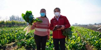 DÍA DE LAS COOPERATIVAS DESTACA LOGROS DE MÁS DE 2000 PEQUEÑOS AGRICULTORES ASOCIADOS