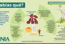 Experto de INIA aclara que las carnes de vacuno de libre pastoreo son capaces de prevenir enfermedades cardiovasculares El especialista en calidad agroalimentaria, Rodrigo Morales, hizo un llamado a mantener una dieta equilibrada, sin excesos, y con los aportes de nutrientes necesarios para una vida sana.