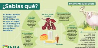 Experto de INIA aclara que las carnes de vacuno de libre pastoreo son capaces de prevenir enfermedades cardiovasculares El especialista en calidad agroalimentaria, Rodrigo Morales, hizo un llamado a mantener una dieta equilibrada, sin excesos, y con los aportes de nutrientes necesarios para una vida sana.