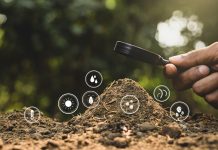 Expertos UdeC entregan algunas técnicas para la conservación de los suelos agrícolas