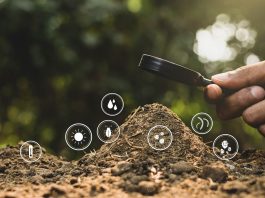 Expertos UdeC entregan algunas técnicas para la conservación de los suelos agrícolas