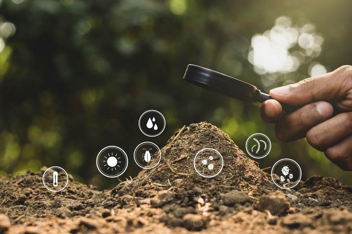 Expertos UdeC entregan algunas técnicas para la conservación de los suelos agrícolas