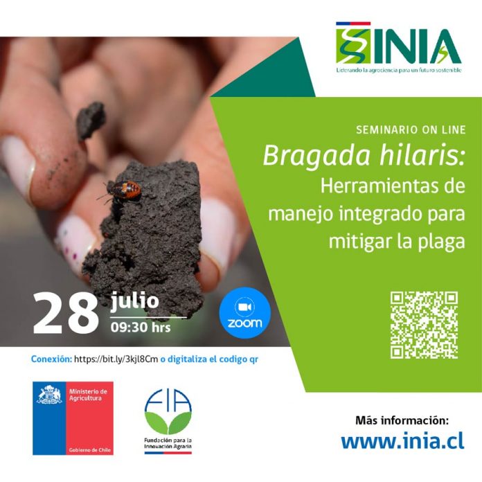 INIA y FIA invitan a seminario online sobre herramientas de manejo integrado para mitigar a la chinche pintada