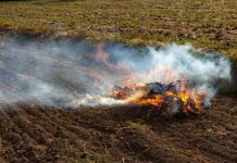 INIA La Platina presenta ciclo de charlas sobre prácticas sustentables para eliminar el uso del fuego en las tareas agrícolas